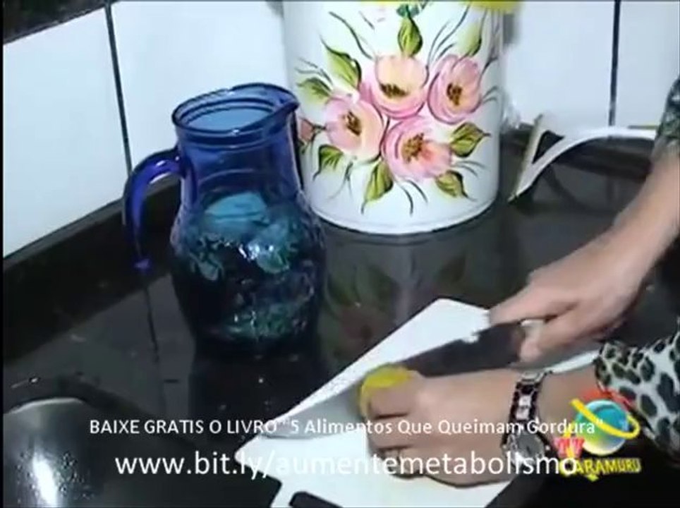 livro emagrecer de vez