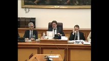 Roma - Audizione di rappresentati di RFI (Rete Ferroviaria Italiana) e di ANAS (04.02.14)