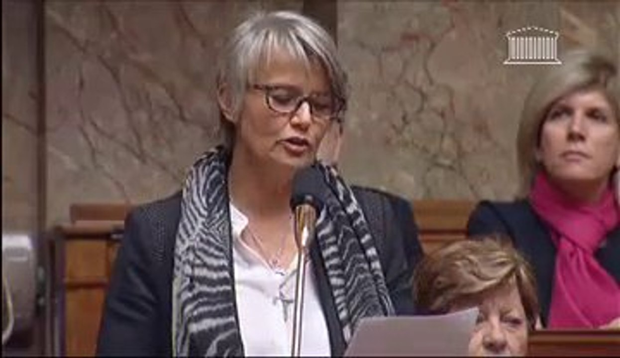 Véronique Massonneau interroge le gouvernement sur le report de la loi Famille et les sujets de société