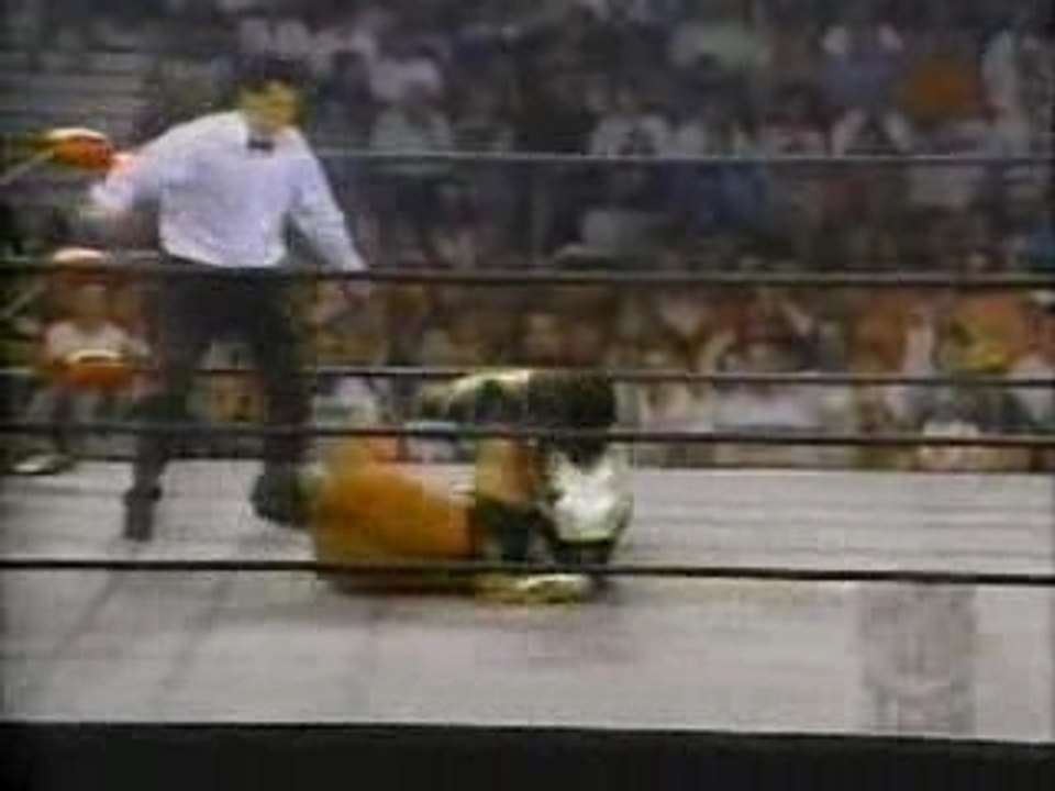 Dean Malenko vs Jushin "Thunder" Liger