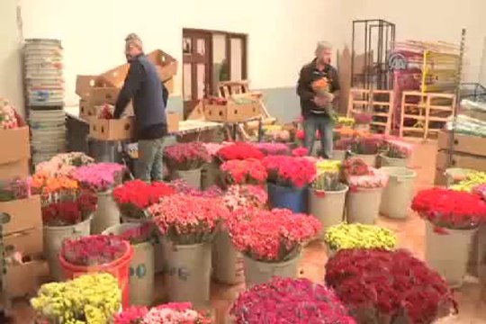 14 Şubat'ta sevgililer çiçeksiz kalabilir