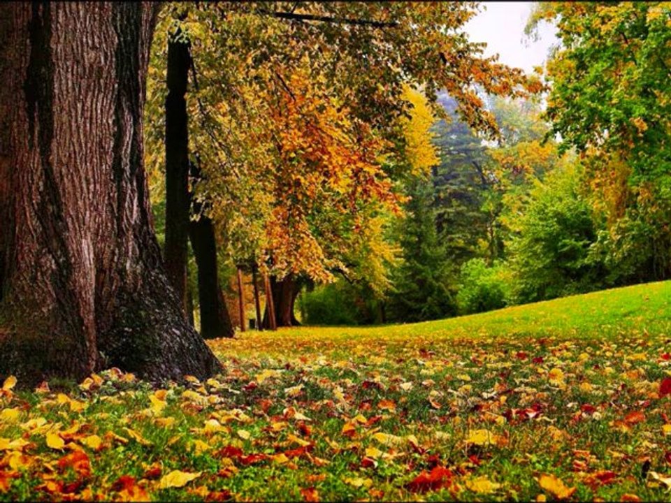 Eva Cassidy -  Autumn Leaves