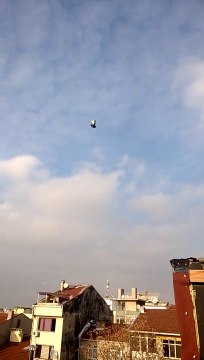 ferdi bayrak sefer kuşları eke dumanlı 05354829474