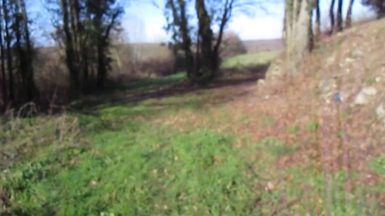visite terrain
