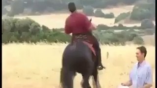 Dailymotion Movies of a Horse