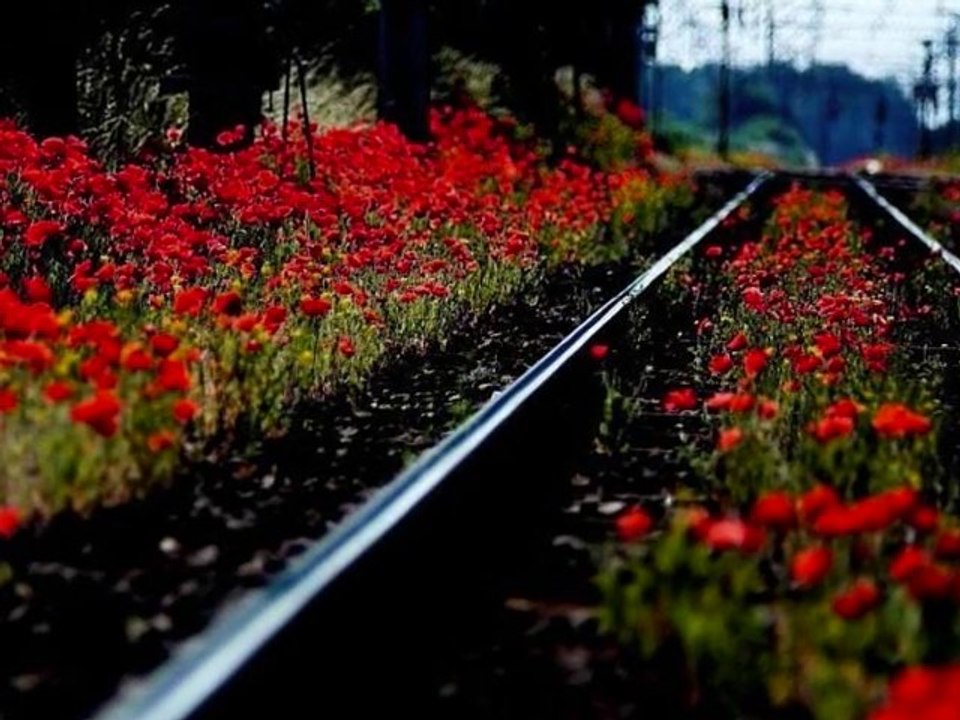 Jerzy Połomski  - Iść za marzeniem