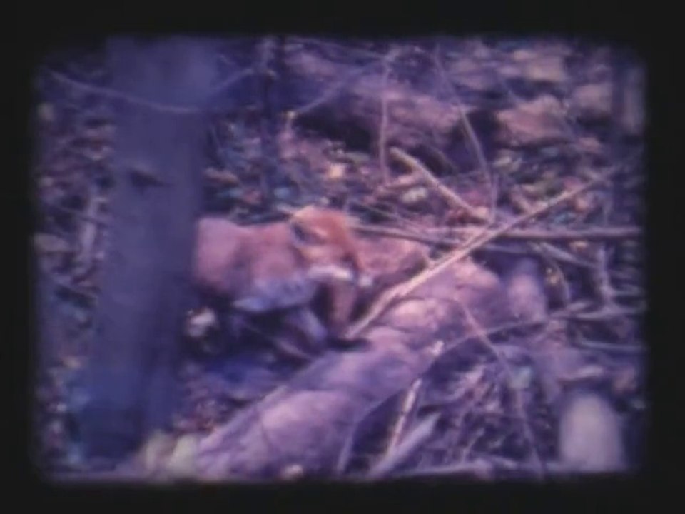 02_1-technique-rage_regulation