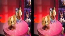 FurReal Bouncy Puppy (Toy Fair 2012) - Chip Chick