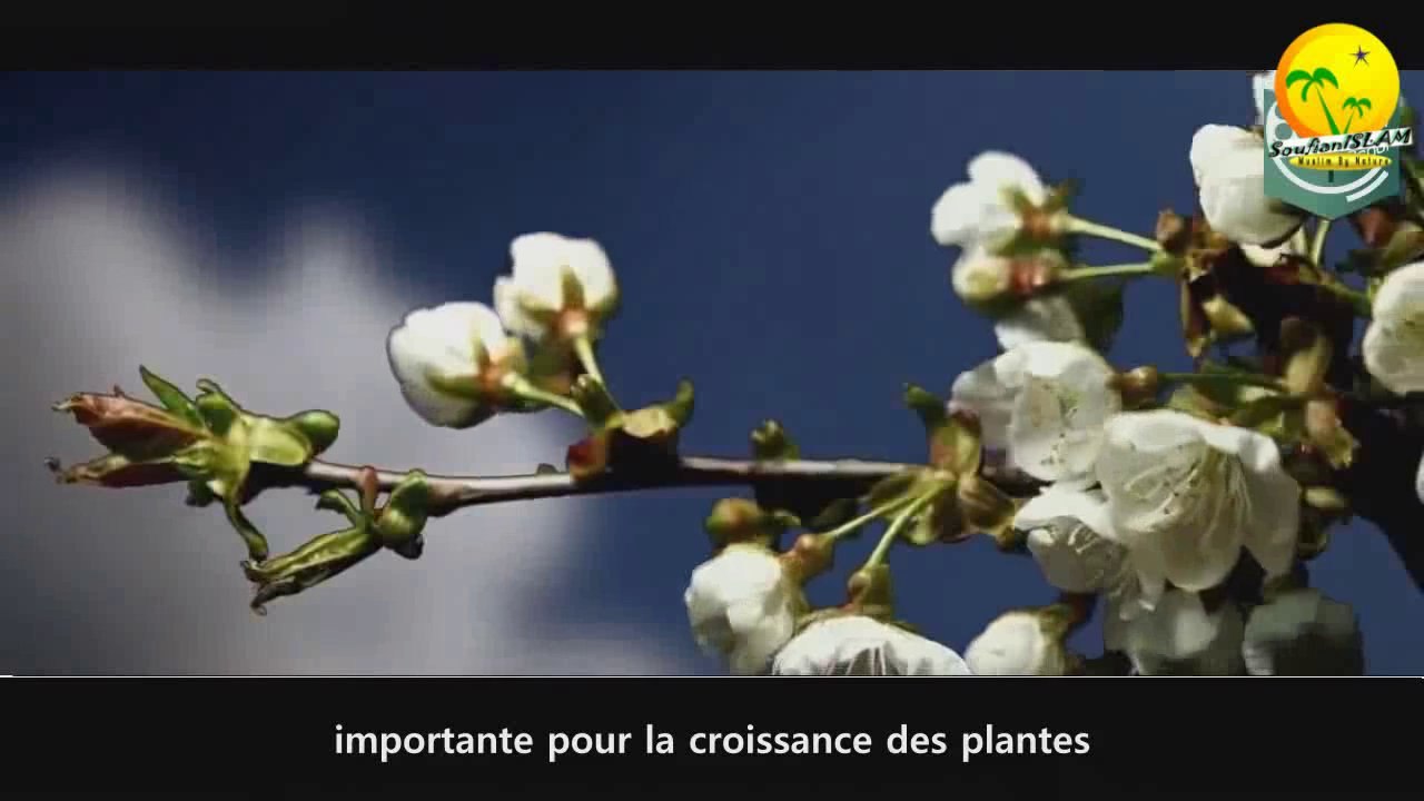 Qui a crée cette univers  Est ce que Dieu existe . Tres belle vidéo à regarder!!