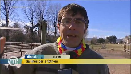 TV3 - Els Matins - Gallines per a tothom