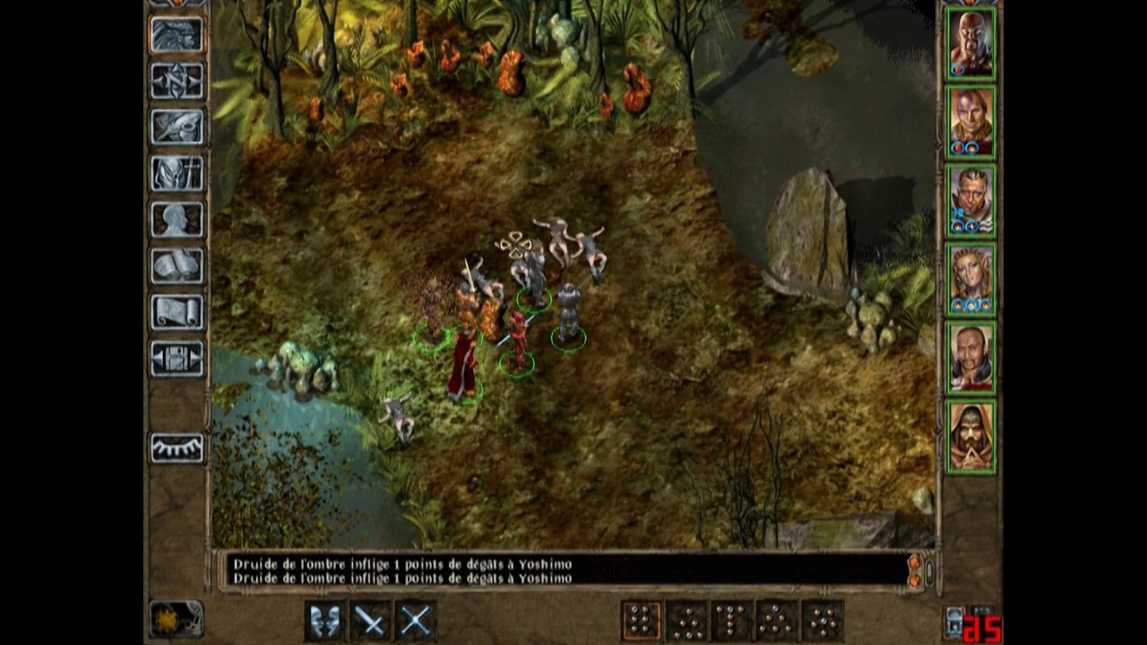Baldur's Gate 2 SOA/64 Duel de druides