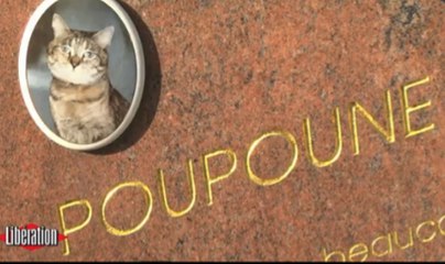 Le cimetière au poil d'Asnières