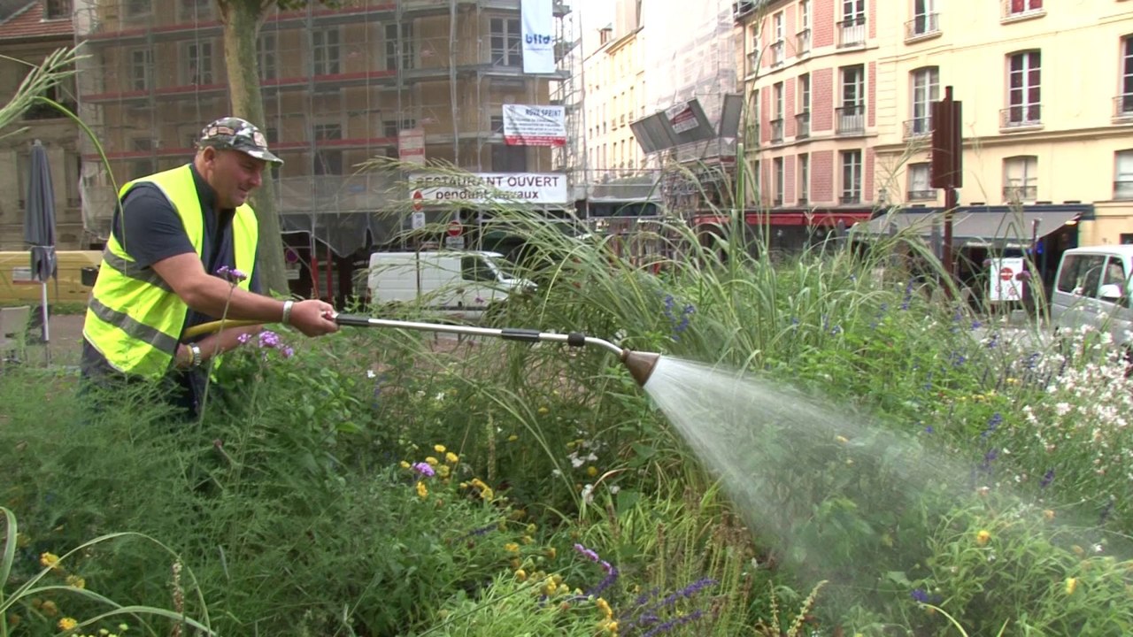 La gestion durable de l'eau à Versailles