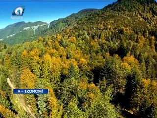 Sedat Mısır - ARDEF