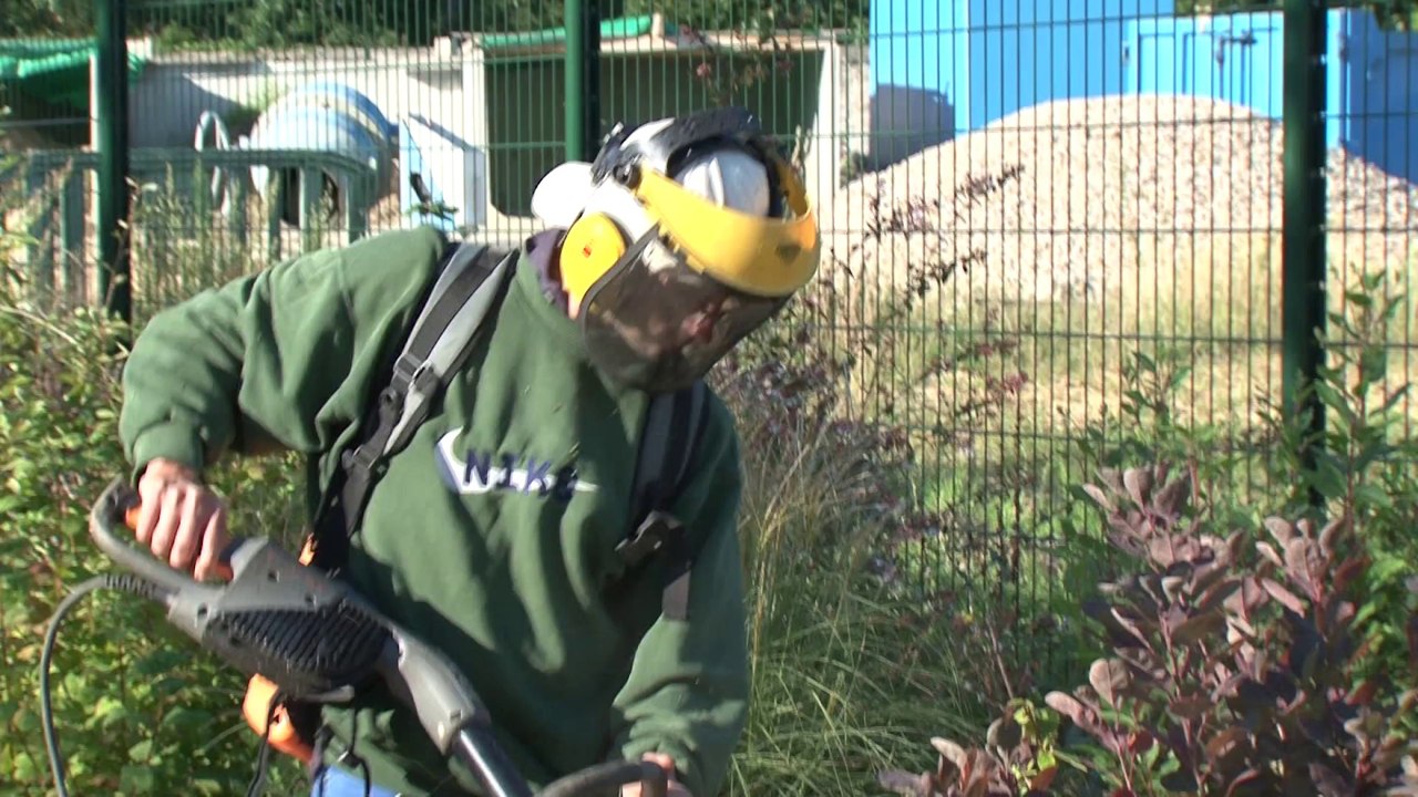 La gestion écologique des cimetières à Versailles