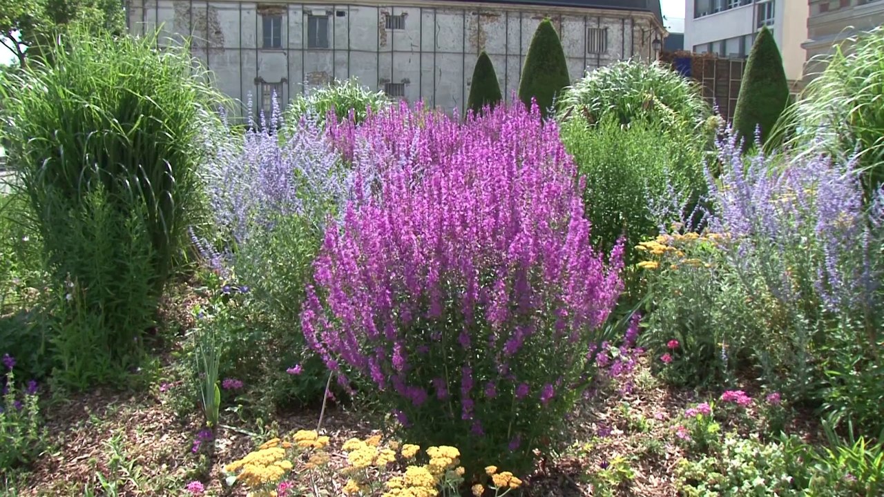 Le fleurissement durable à Versailles