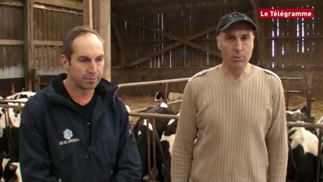 Plourin-Ploudalmézeau (29). Trois bovins d'un même élevage au Salon de l'agriculture