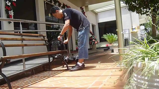 Aprenda a ganhar dinheiro blogando com o cão.mp4