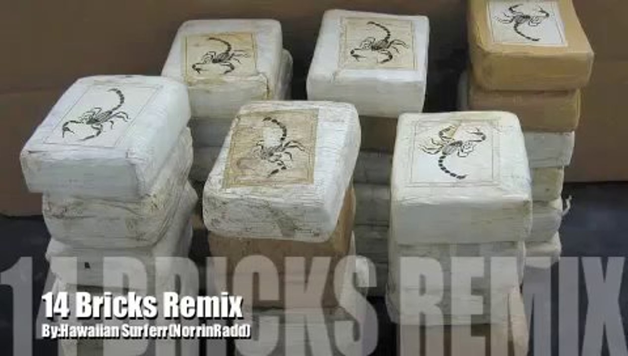 14 Bricks Remix- Norrin RAdd (Surferr)