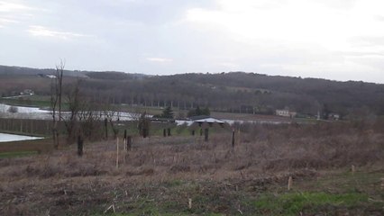 Création d'une petite foret