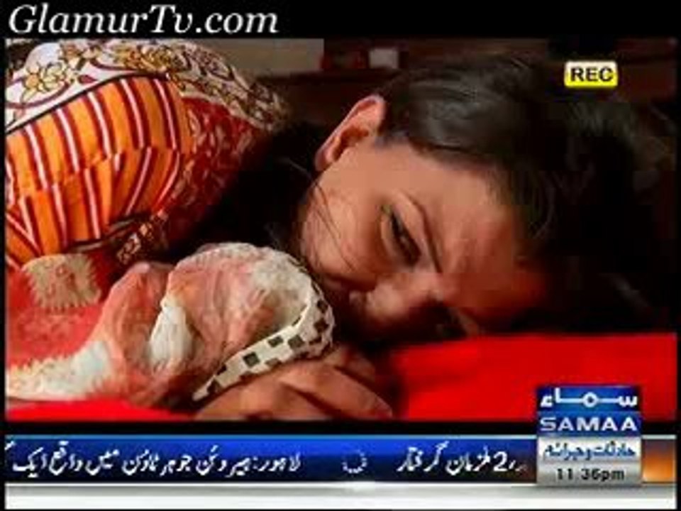 Wardat 5th February 2014 Full Show on Samaa News in High Quality Video By GlamurTv