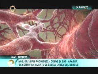 Confirman muerte de un bebé a causa de dengue en Aragua