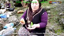 Pala Dayı'nın Eşi Aysel Gürel Yörüklerin Çilesini Anlatıyor:Duacı-Antalya