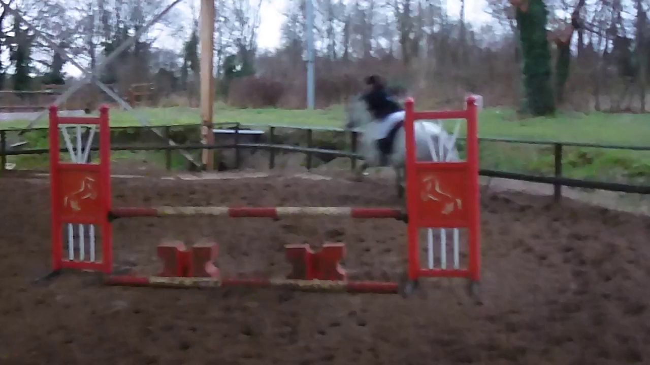 1er concours de Manolo en 90 cm