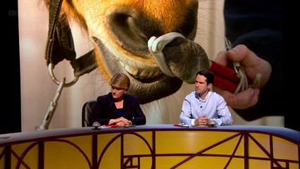 QI XL H12 - Horses and Hunting