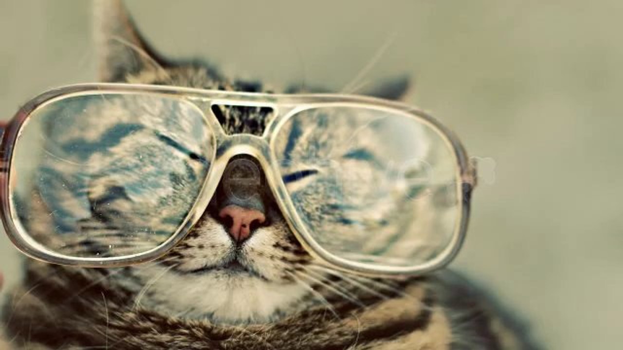 social network lower thirds - After Effects Template