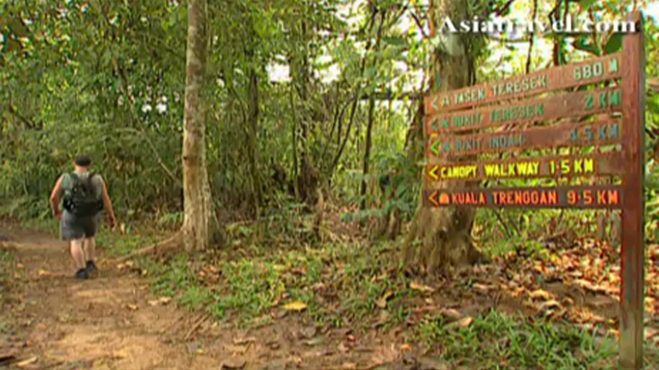 Taman Negara, Malaysia by Asiatravel.com