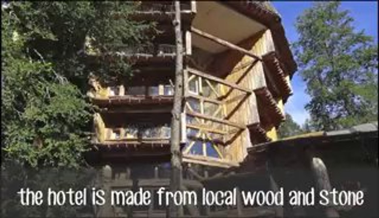 5 Hotels You Must See