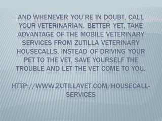 Emergency Situations Every Pet Owner Should Know