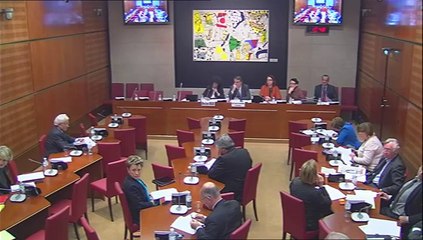 Audition de Mme Anne Armand, sur le décrochage scolaire - Mercredi 5 Février 2014