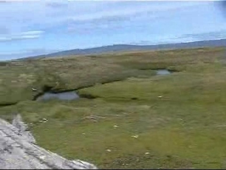 patagonie_pinguins