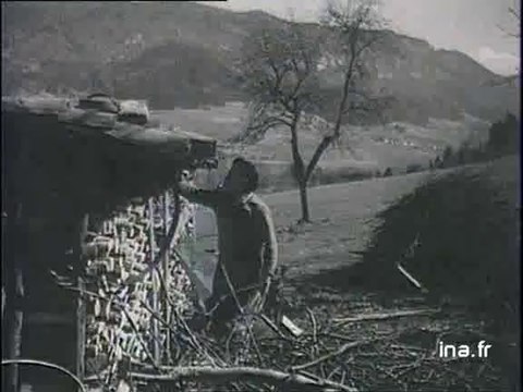 juillet 44 : le maquis du Vercors anéanti par les SS et par la Milice