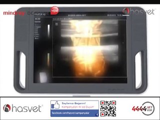 Mindray DC-N3 Vet Diagnostik Ultrason Sistemi - Hasvet Medikal
