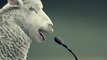 So hilarious Commercial with a sheep siren!