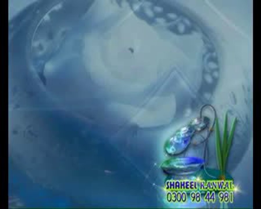 videoplayback_18