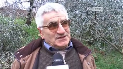 PEDEMONTANA, FRANE E DANNI