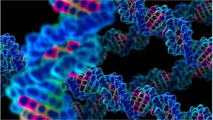 Lifecell