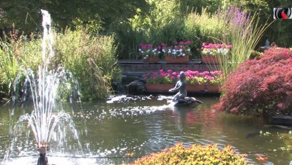 les bassins des eaux de la Mulle