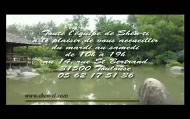 massage tui na ventouse shen ti formation massage toulouse