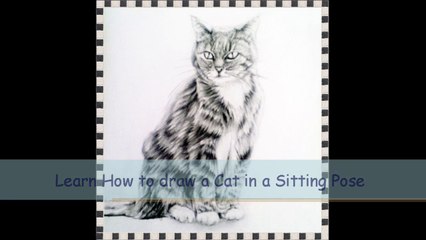 Learn How to draw a Cat in a Sitting Pose with Easy to Follow Instructions / Part 2