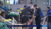 Tempêtes : les marins pêcheurs bloqués à quai à La Turballe