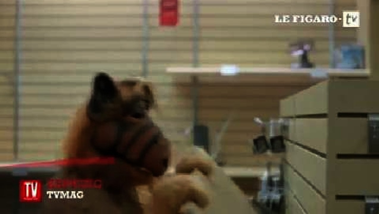 Alf, Hulk Hogan, Chips : les stars de la télévision des années 80 rassemblées dans une pub