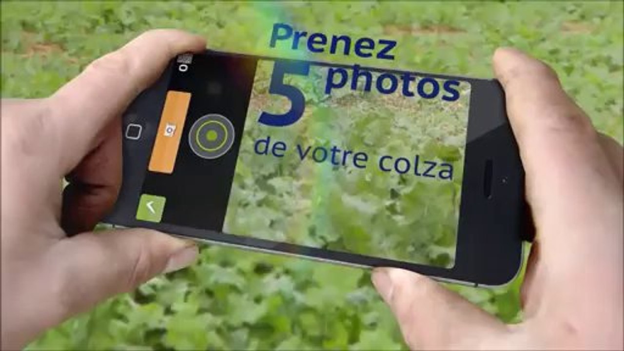yara_imageit_demo