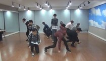 EXO - Christmas Day Dance Practice (Mirrored)