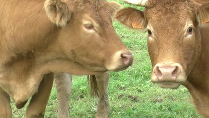 Congres FNB 2014 - Presentation de la Vendée