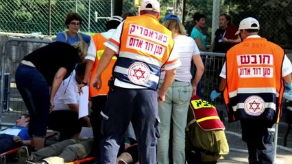 Une histoire d'Humanité - 2 - La saga des emblèmes